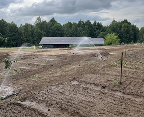 Laistymo sistemų įrengimas ir remontas / Oleksii Trunov / Darbų pavyzdys ID 3487936