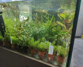 Akvariumų specialistas - Buitinės paslaugos - 2 Buitinės paslaugos - Akvariumų specialistas - 2
