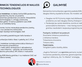 B2b Pardavimų sistemos ir dirbtinio intelekto sprendimai - Pardavimų organizavimas - 1 Pardavimų organizavimas - B2b Pardavimų sistemos ir dirbtinio intelekto sprendimai - 1