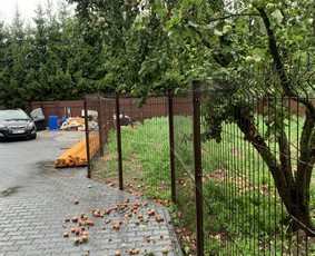 Segmentinės tvoros, vartų, vartelių montavimas - Aplinka, sodas - 3 Aplinka, sodas - Segmentinės tvoros, vartų, vartelių montavimas - 3