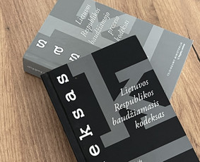 Profesionalios ir sąžiningos advokato teisinės paslaugos - Baudžiamosios teisės paslaugos - 2 Baudžiamosios teisės paslaugos - Profesionalios ir sąžiningos advokato teisinės paslaugos - 2