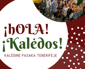 El. parduotuvių kūrimas Rinkodara Mokymai / Goda Piktas / Darbų pavyzdys ID 688607