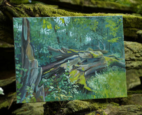 Tapyba ant drobės - Tapyba pagal užsakymą: portretai, peizažai, paveikslai. - 1