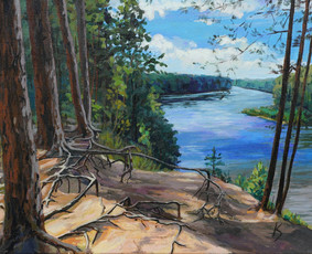 Tapyba ant drobės - Tapyba pagal užsakymą: portretai, peizažai, paveikslai. - 3