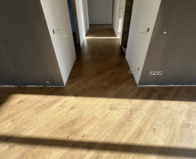 Laminato, Vinilo ir kitų dangų įrengimas. / Grindų meistrai / Darbų pavyzdys ID 3494394