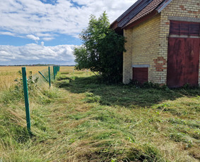 Aplinkos priežiūros darbai, žolės pjovimas / Ingridas Kazlauskas / Darbų pavyzdys ID 3495224