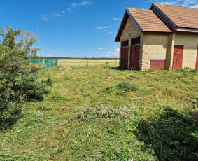 Aplinkos priežiūros darbai, žolės pjovimas / Ingridas Kazlauskas / Darbų pavyzdys ID 3495226
