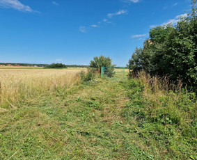 Aplinkos priežiūros darbai, žolės pjovimas / Ingridas Kazlauskas / Darbų pavyzdys ID 3495228