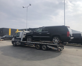 Tralas fiskaras traliukas Tech pagalba kelyje / Aivatrans / Darbų pavyzdys ID 3495498