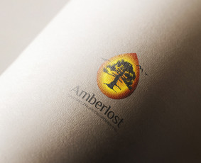 Prekių ženklų / firminio stiliaus / logotipų kūrimas / Rūta Matei / Darbų pavyzdys ID 3497234