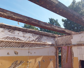 Griovimo darbai šiukšliu išvežimas / Audrius / Darbų pavyzdys ID 3497310