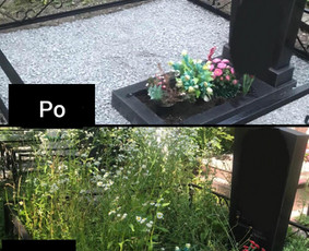 Tradiciniai amatai - Kapų vienkartinė ir sezoninė priežiūra,tvarkymas - 1