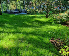 Vejos įrengimas .Augalų sodinimas. Trinkelių klojimas. / FlorAgra / Darbų pavyzdys ID 3498294