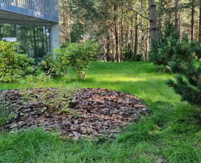 Vejos įrengimas .Augalų sodinimas. Trinkelių klojimas. / FlorAgra / Darbų pavyzdys ID 3498298