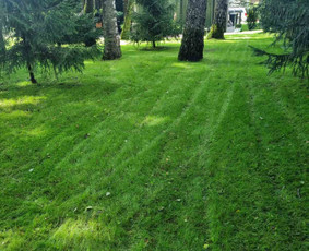 Vejos įrengimas .Augalų sodinimas. Trinkelių klojimas. / FlorAgra / Darbų pavyzdys ID 3498340