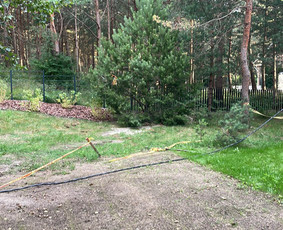 Vejos įrengimas .Augalų sodinimas. Trinkelių klojimas. / FlorAgra / Darbų pavyzdys ID 3498408