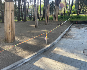 Vejos įrengimas .Augalų sodinimas. Trinkelių klojimas. / FlorAgra / Darbų pavyzdys ID 3498412