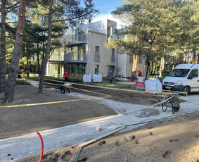 Vejos įrengimas .Augalų sodinimas. Trinkelių klojimas. / FlorAgra / Darbų pavyzdys ID 3498428