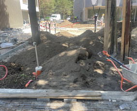 Vejos įrengimas .Augalų sodinimas. Trinkelių klojimas. - Apleistų sklypų tvarkymas - 1 Apleistų sklypų tvarkymas - Vejos įrengimas .Augalų sodinimas. Trinkelių klojimas. - 1