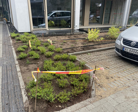 Vejos įrengimas .Augalų sodinimas. Trinkelių klojimas. / FlorAgra / Darbų pavyzdys ID 3498484