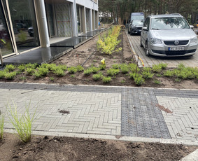 Vejos įrengimas .Augalų sodinimas. Trinkelių klojimas. / FlorAgra / Darbų pavyzdys ID 3498486