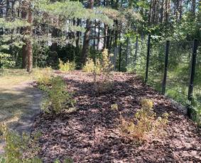 Vejos įrengimas .Augalų sodinimas. Trinkelių klojimas. / FlorAgra / Darbų pavyzdys ID 3498462