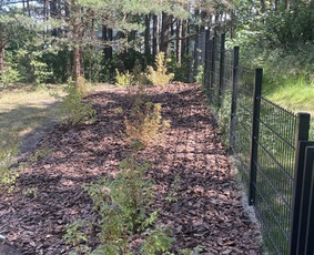 Vejos įrengimas .Augalų sodinimas. Trinkelių klojimas. / FlorAgra / Darbų pavyzdys ID 3498466