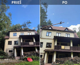 Medžių pjovimas, genėjimas. Aplinkos,miškų priežiūra / MB "Miškų Vilkai" / Darbų pavyzdys ID 3499322