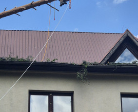 Medžių pjovimas, genėjimas. Aplinkos,miškų priežiūra / MB "Miškų Vilkai" / Darbų pavyzdys ID 3499338