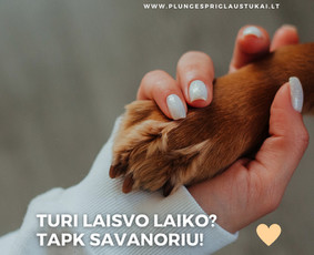 Dizaino, filmavimo, fotografavimo paslaugos verslui - Reklamos gamyba - 4 Reklamos gamyba - Dizaino, filmavimo, fotografavimo paslaugos verslui - 4