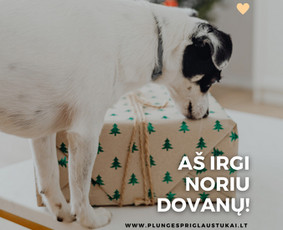 Dizaino, filmavimo, fotografavimo paslaugos verslui - Reklamos gamyba - 2 Reklamos gamyba - Dizaino, filmavimo, fotografavimo paslaugos verslui - 2