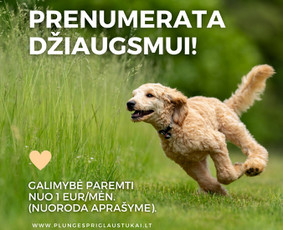 Dizaino, filmavimo, fotografavimo paslaugos verslui - Reklamos gamyba - 1 Reklamos gamyba - Dizaino, filmavimo, fotografavimo paslaugos verslui - 1