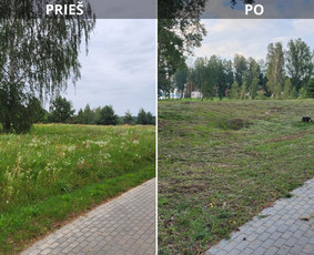 Aukštos žolės pjovimas, smulkinimas. - Pievų šienavimas - 1 Pievų šienavimas - Aukštos žolės pjovimas, smulkinimas. - 1