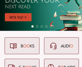 Svetainių dizainas (web design) - Operatyviai ir kokybiškai! Logotipai, pakuotės ir kt. - 2