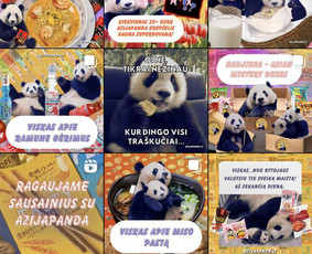 Soc. medijų valdymas, mokama reklama, email marketing, Seo - Komunikacija socialiniuose tinkluose - 2 Komunikacija socialiniuose tinkluose - Soc. medijų valdymas, mokama reklama, email marketing, Seo - 2