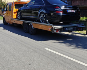 Traliuko paslaugos Kaune ir visoje Lietuvoje. / Mb Markemis / Darbų pavyzdys ID 3504034