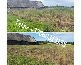 Vejos pjovimas-aplinkos priežiūra, tvarkymas. / Zigmas / Darbų pavyzdys ID 3504808