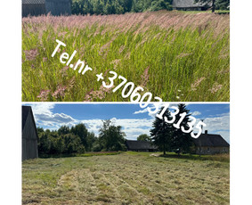 Medžių genėjimas*gyvatvorių karpymas*aplinkos tvarkymas / Zigmas / Darbų pavyzdys ID 3504822