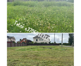 Medžių genėjimas*gyvatvorių karpymas*aplinkos tvarkymas / Zigmas / Darbų pavyzdys ID 3504828