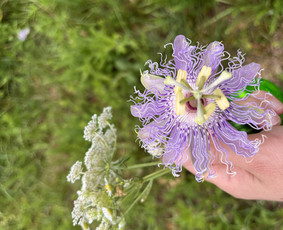 Lietuvių kalba pradinukams - lėtoji pedagogika - Lietuvių kalbos korepetitoriai - 4 Lietuvių kalbos korepetitoriai - Lietuvių kalba pradinukams - lėtoji pedagogika - 4