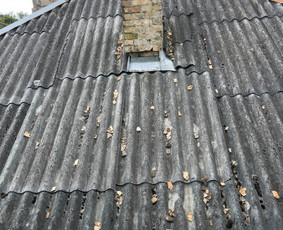 Aukštalipių paslaugos, darbai aukštyje / UAB ALP servisas / Darbų pavyzdys ID 3506704