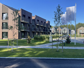 Vejos įrengimas .Augalų sodinimas. Trinkelių klojimas. - Vejos aeravimas - 4 Vejos aeravimas - Vejos įrengimas .Augalų sodinimas. Trinkelių klojimas. - 4