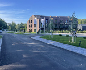 Vejos įrengimas .Augalų sodinimas. Trinkelių klojimas. / FlorAgra / Darbų pavyzdys ID 3507094
