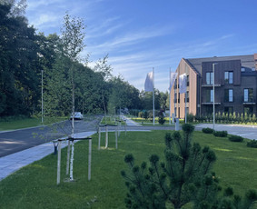 Vejos įrengimas .Augalų sodinimas. Trinkelių klojimas. / FlorAgra / Darbų pavyzdys ID 3507100