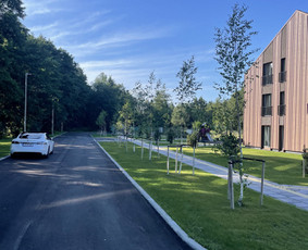 Vejos įrengimas .Augalų sodinimas. Trinkelių klojimas. / FlorAgra / Darbų pavyzdys ID 3507096