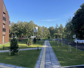 Vejos įrengimas .Augalų sodinimas. Trinkelių klojimas. / FlorAgra / Darbų pavyzdys ID 3507080