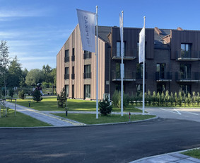 Vejos įrengimas .Augalų sodinimas. Trinkelių klojimas. / FlorAgra / Darbų pavyzdys ID 3507070