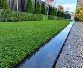 Gyvatvorių karpymas - Sklypų tvarkymas, griovimas,vejos įrengimas,hidroizoliacija - 1