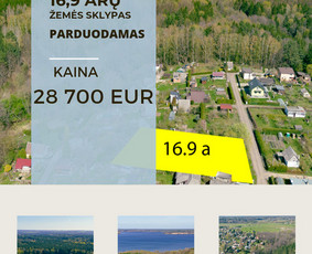 NT Brokerė Gita / Capital & House / Darbų pavyzdys ID 3511122