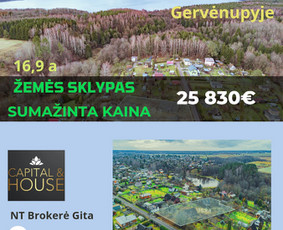 NT Brokerė Gita / Capital & House / Darbų pavyzdys ID 3511128